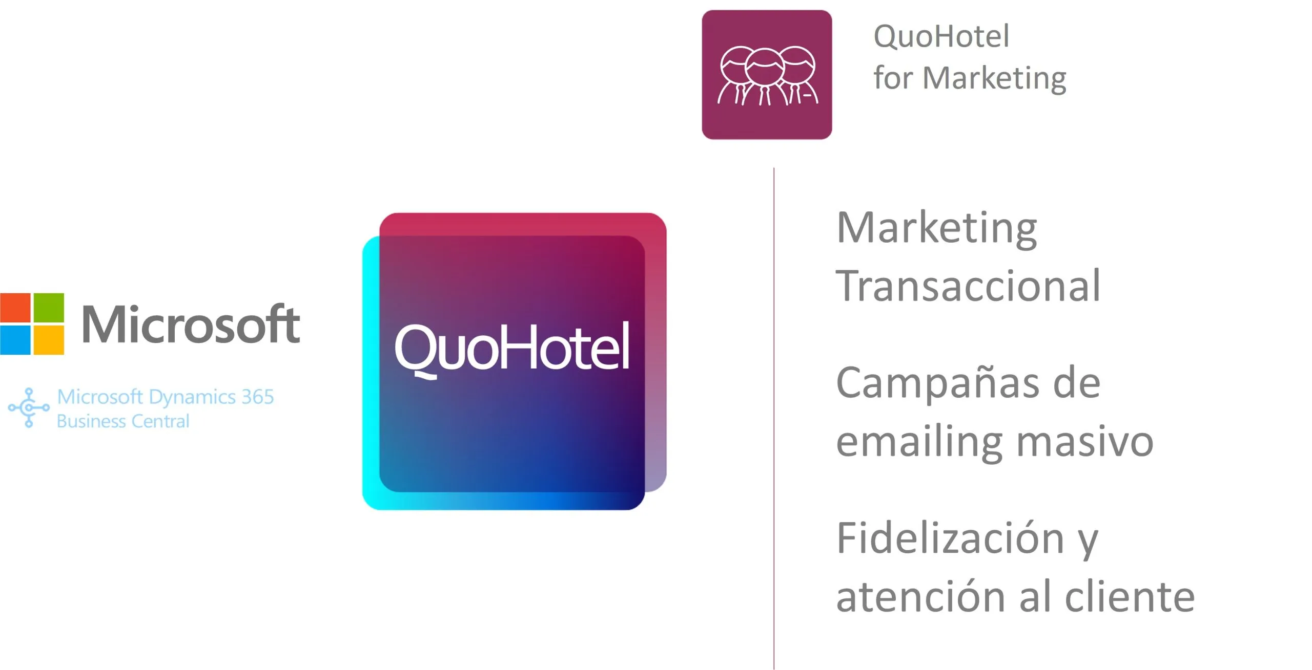 quohotel-gestion-hotelera-marketing areas funcionales